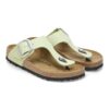 Gizeh Big Buckle Nubuckleer
